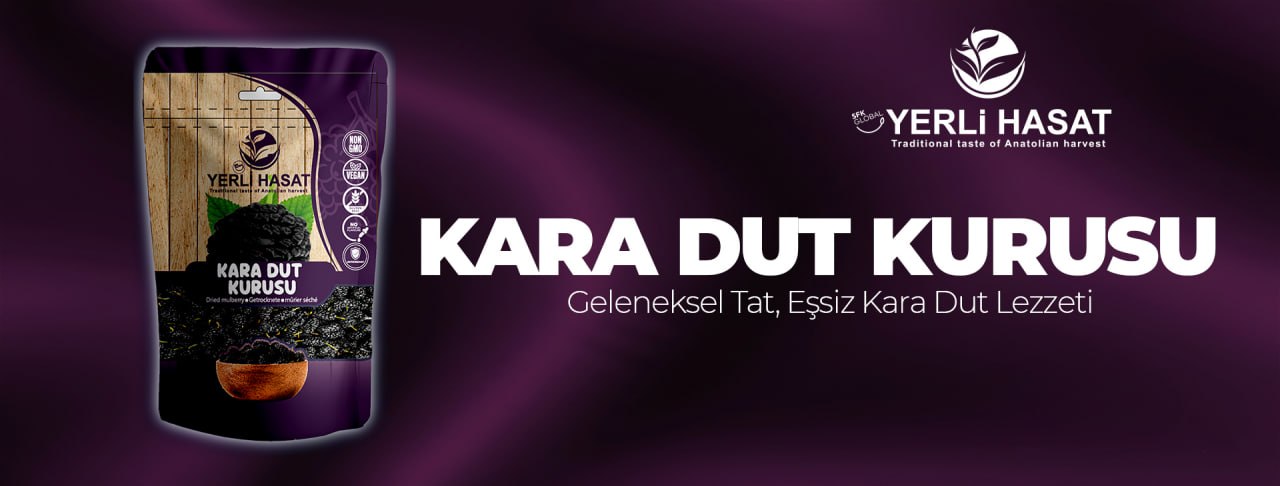 Kara Dut Kurusu