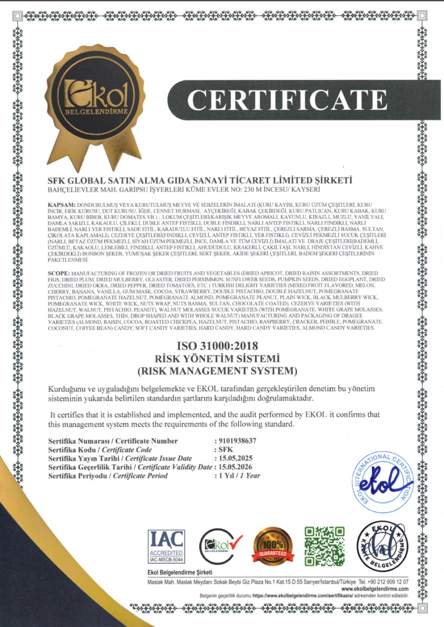 ISO 31000